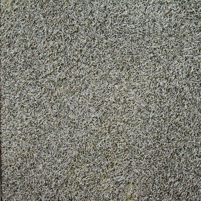 Eko tapeti Fort 516